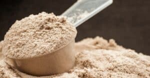 אבקת חלבון – אילו סוגים קיימים ומה המחיר